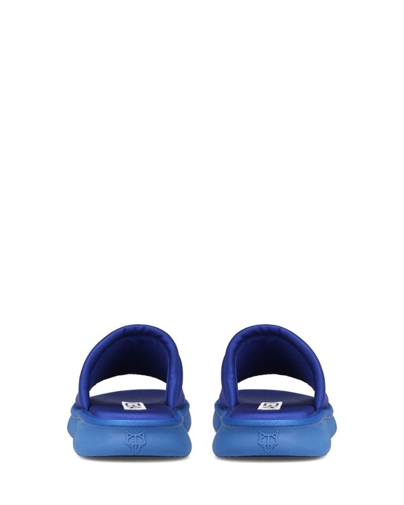 Men's Naked Wolfe Arizona Royal Slides Blue | PHILIPPINES UZBGPFD94